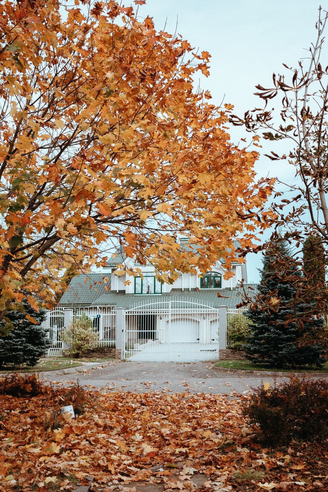 Seasonal cleanups & hauling
