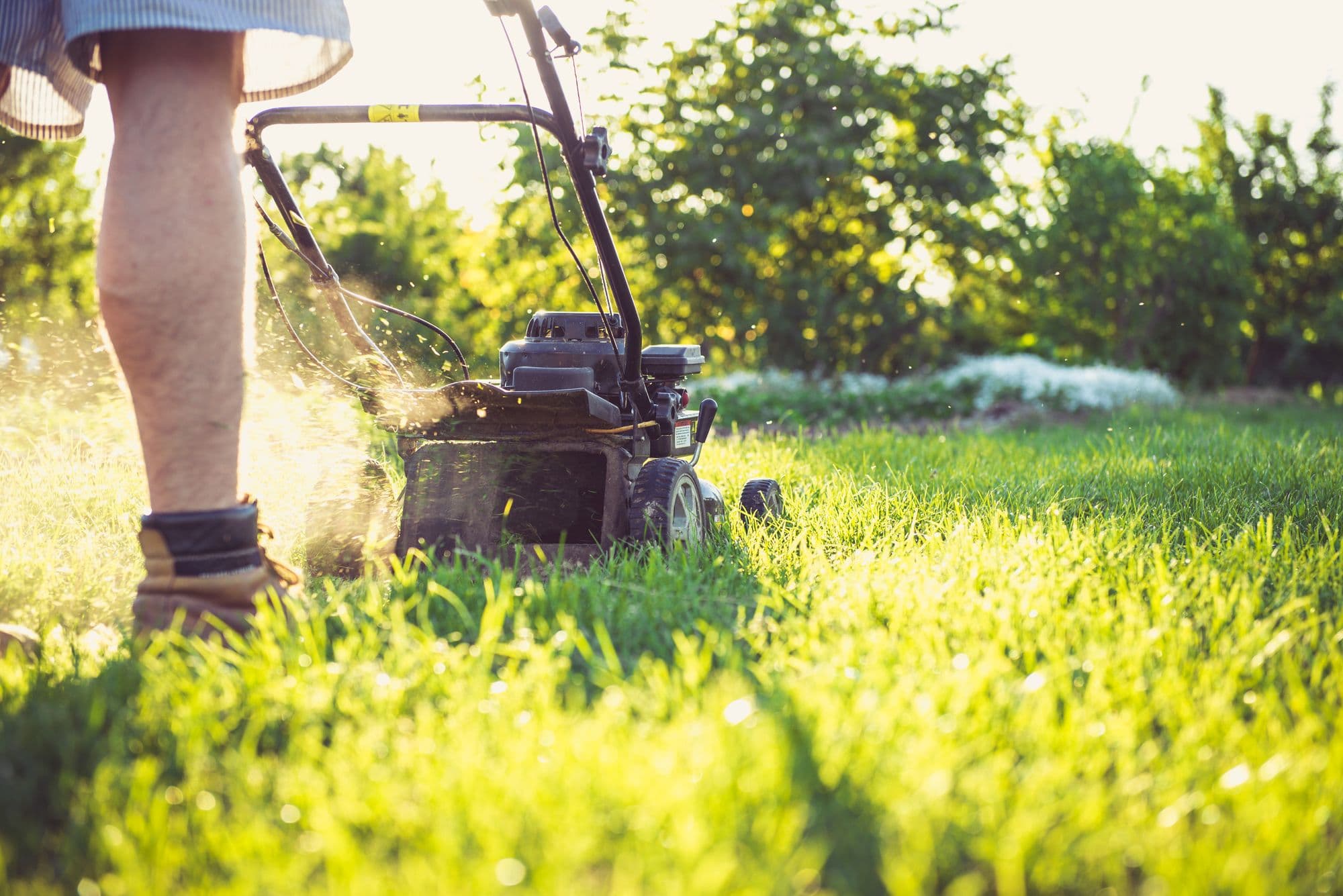 Lawn being mowed at golden hour